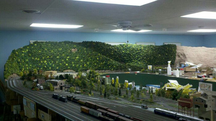 A forest is growing